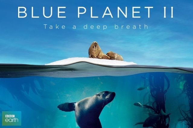 Är Blue Planet 2 tillgänglig på Netflix? Om inte, när kommer det att finnas tillgängligt