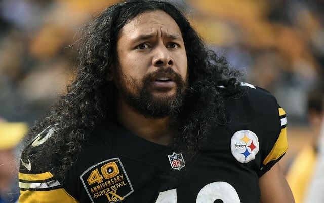 Troy Polamalu